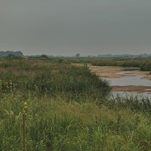 Live Crane Migration at Audubon Rowe Sanctuary, Gibbon, USA