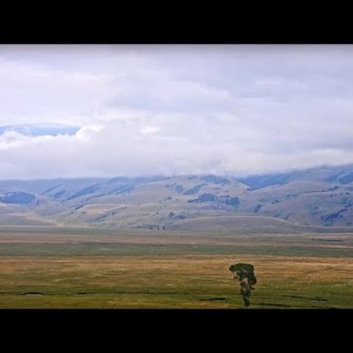 National Elk Refuge Live Webcam: Kelly, Wyoming
