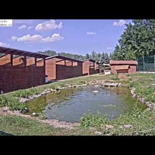 Jezírko Animal Rescue Station Makov Live Webcam