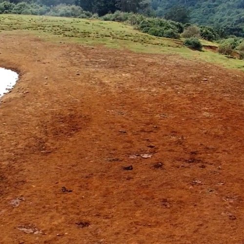 Aberdare National Park Live Webcam: Kenya Wildlife & Landscapes