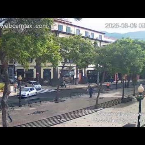 Funchal's Avenida Arriaga Live Webcam