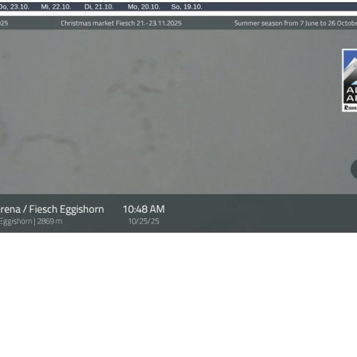 Eggishorn Live Webcam: Aletsch Arena & Glacier Views