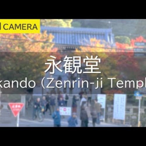 Eikando Zenrin-ji Temple Live Cam in Kyoto, Japan
