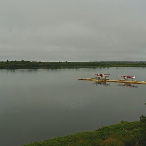 Naknek River Live Webcam: King Salmon, Alaska Wilderness View