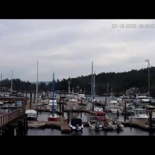 Friday Harbor's Shipyard Cove Marina Live Webcam