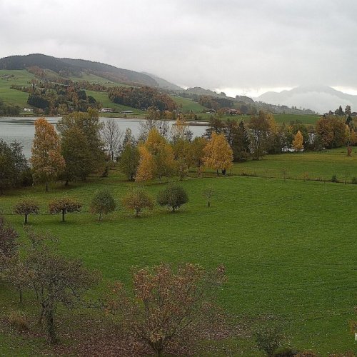 Irrsee West Shore Live Cam: Alpine Views in Mondseeland, Austria