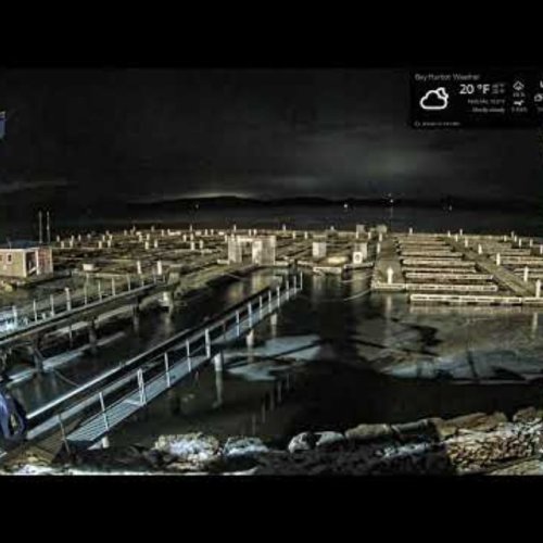 Bay Harbor Marina Live Webcam, Shelburne, Vermont