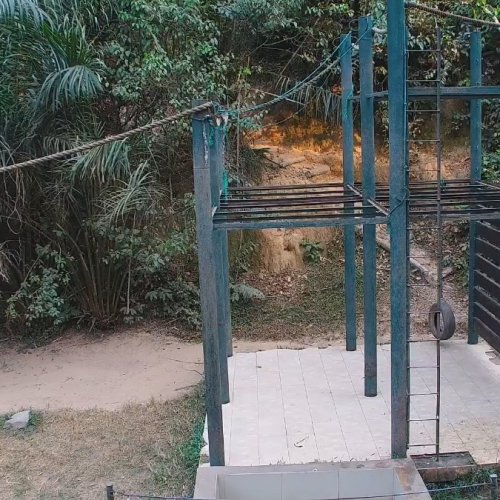 Live Camera: Friends of Bonobos Nursery in Kinshasa