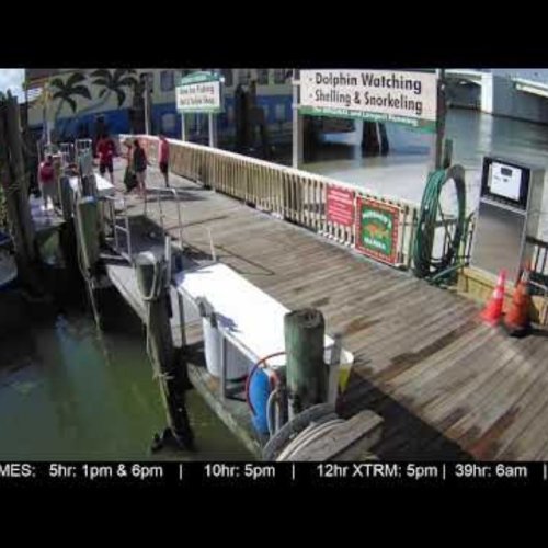 Hubbard's Marina Dock Live Webcam, Madeira Beach, FL