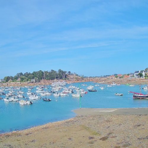 Ploumanac'h Marina Live Camera: Real-Time View of Brittany's Harbor