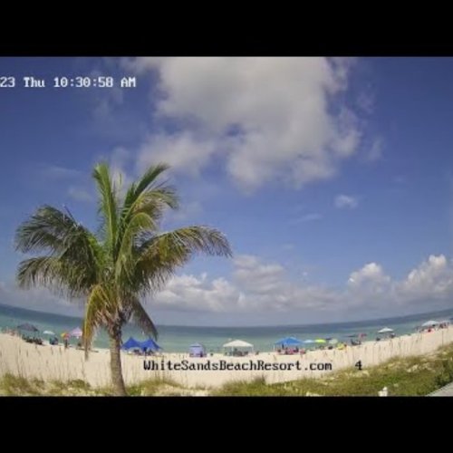 White Sands Beach Anna Maria Island Live Webcam