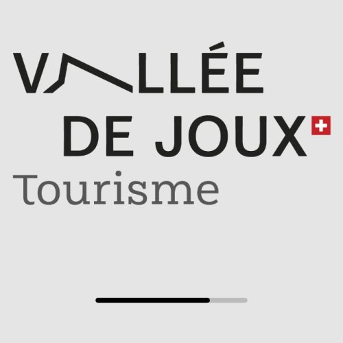Vallée de Joux Tourism - Lac de Joux Live View