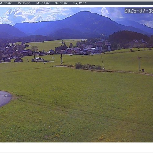 zuckerwiese, mariazeller bürgeralpe, 868m -