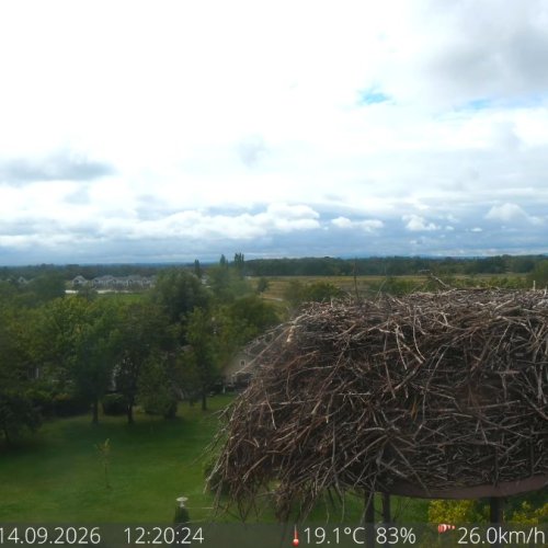 Vila Vita Pannonia Live Webcam: Pamhagen, Austria