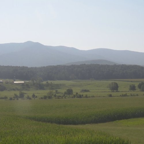 Shenandoah National Park Big Meadows Live Webcam