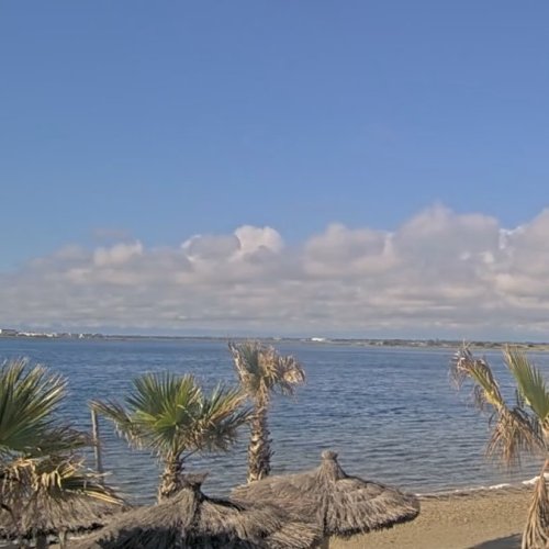 Le Barcarès Les Dosses Beach Live View