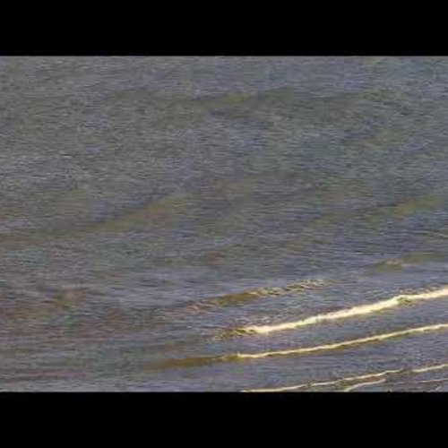 Wenduine Beach Live: Hotel Les Mouettes Webcam