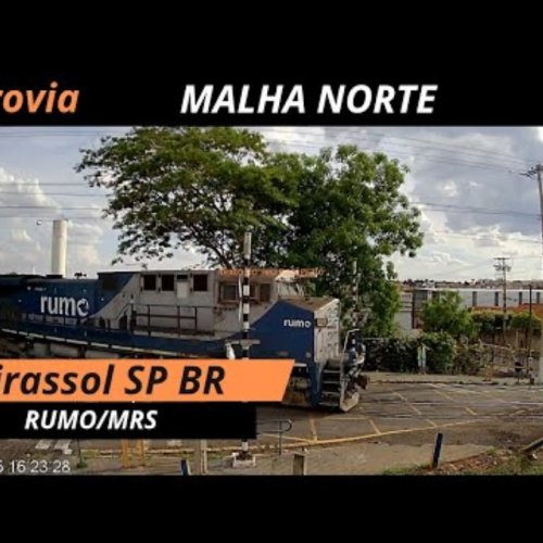 Mirassol Railway Level Crossing Live View