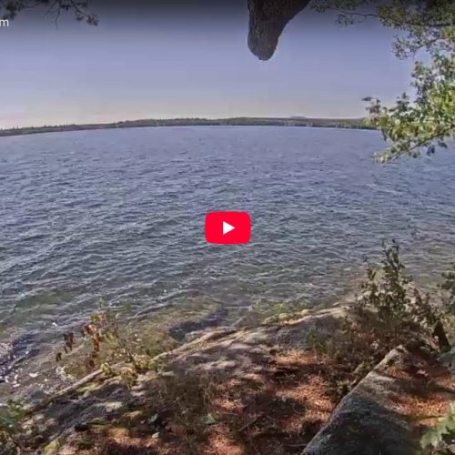 Squam Lake Holderness Live Webcam: Tranquil New Hampshire Views