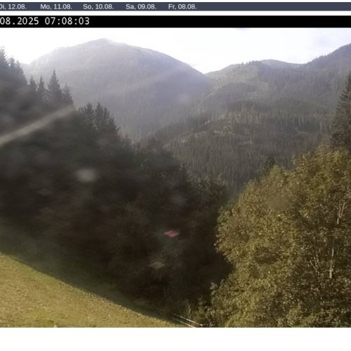 Kölblalm, Johnsbach: Alpine Panorama at 1100m