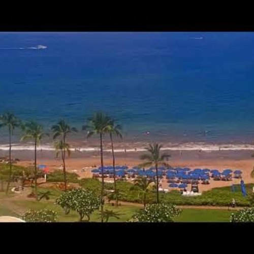 Lahaina Beach Live View - Tropical Paradise in Hawaii 🏖️