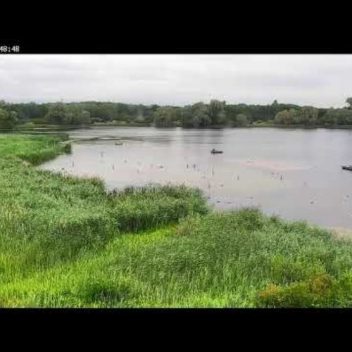 De Gavers Pond Live Webcam | Harelbeke, Belgium