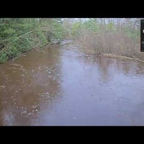 Walhalla River Scene At Barothy Lodge