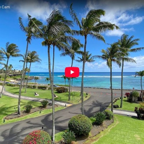 Lawai Beach Resort Live Cam: Poipu, Kauai Views