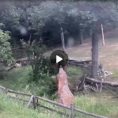 Brno, Czechia: A Glimpse into the Countryside 🌳