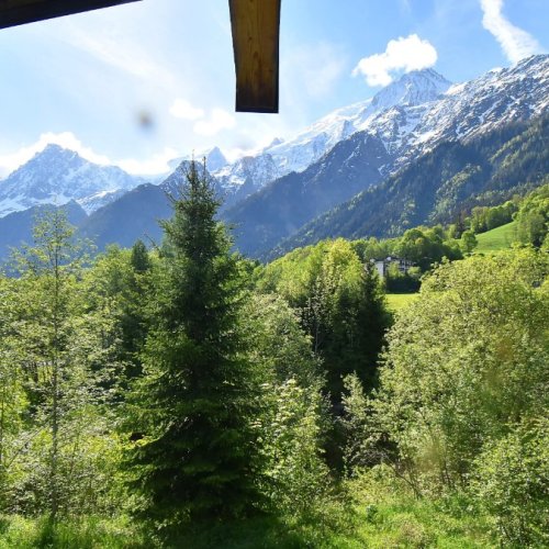 Les Houches Blue Ice Live View