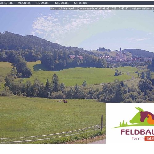 Mariazell Valley Live Webcam: Scenic Alpine Views