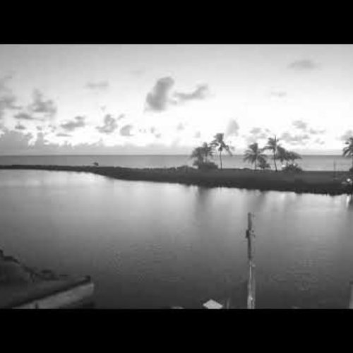 Old Bahama Bay Resort Live Webcam: West End, Bahamas