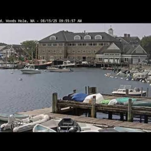 Eel Pond Woods Hole Live Webcam
