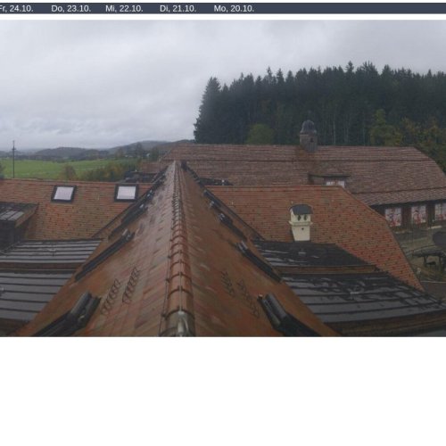 Henndorf - Gut Aiderbichl Live Webcam