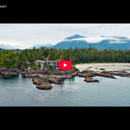 Wickaninnish Inn Live Stream: Chesterman Beach, Tofino HD