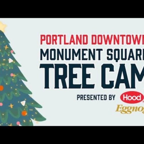 Monument Square Christmas Tree Live Cam, Portland