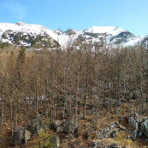Mountain The Planina Razor Live View