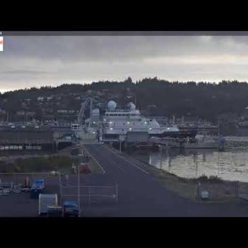Newport Harbor Live Cam: Oregon State University Ship Operations