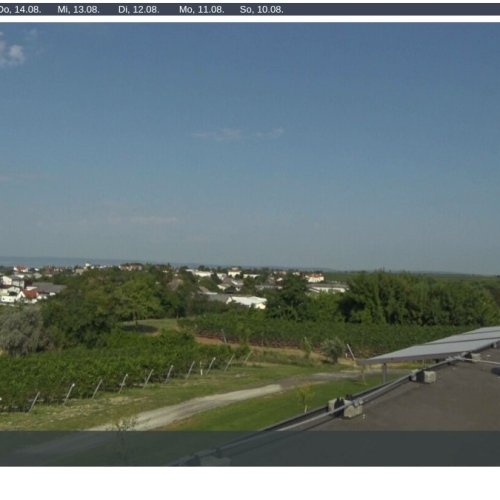 Gols Austria Live Webcam: Vineyard Views & Burgenland Charm