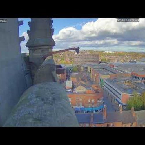 Wakefield Peregrine Falcons & Cityscape Live Webcam
