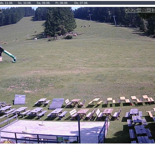 Almhaus Hochbärneck Live Webcam: Austrian Alpine Views