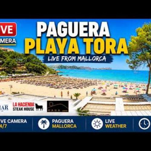 Live Beach View of Paguera, Mallorca 🌴