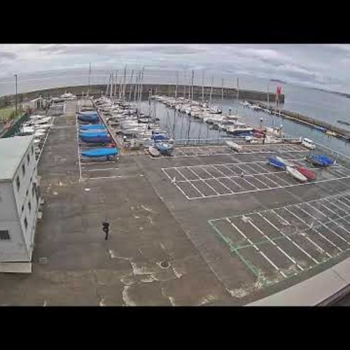 Hayama Port Live Webcam | Kanagawa Marina & Coastal View