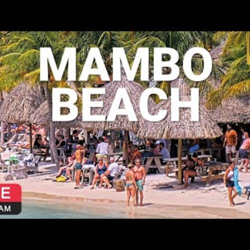 Live Mambo Beach Webcam: Tropical Fun in Willemstad, Curaçao