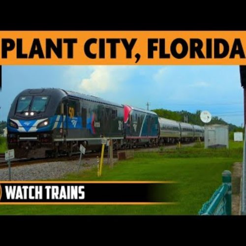 Willaford Museum Rail Junction PTZ - Live Train Action in Plant City, Florida! 🌳