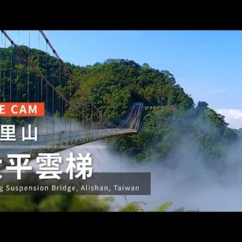 Taiping Suspension Bridge Live Cam - Alishan, Taiwan