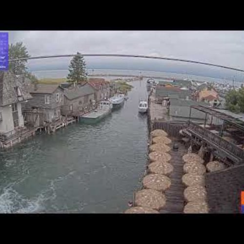 Fishtown Leland Live Webcam: The Cove Bar View