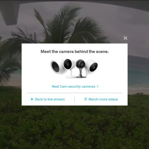 Calypso Ocean Live Webcam: Elbow Cay, Bahamas