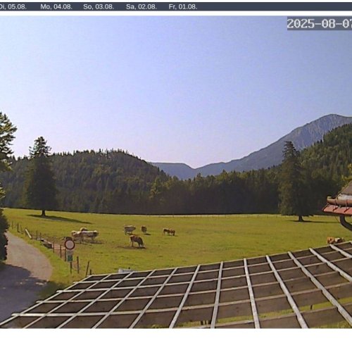 Gutenstein Alpine Meadows Live Webcam