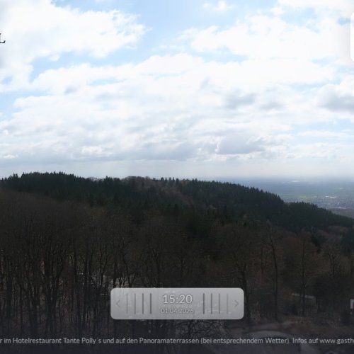 Experience the Breathtaking Views of Heidelberg from Berg-Gasthof Königstuhl